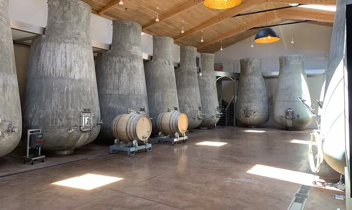 A day in Saint-Emilion in a small group (Electric Luxury Van)