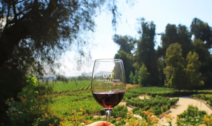 Concha y Toro Winery Tour from Santiago