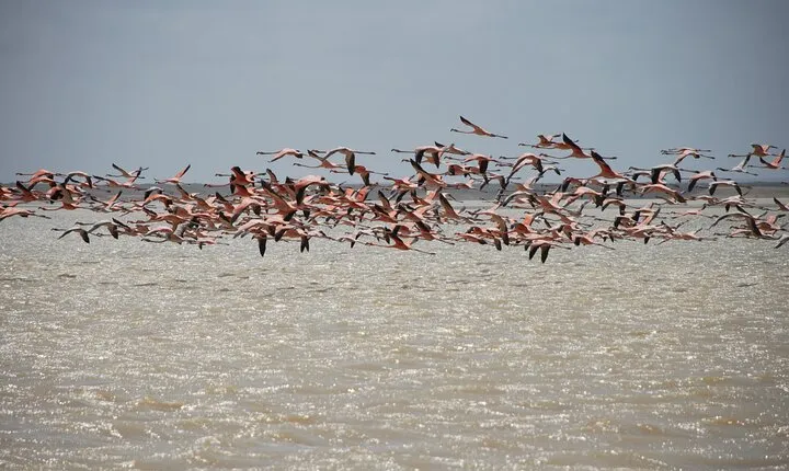 7 Days 6 Nights Alta Guajira Photographic Route Tour with Pick up