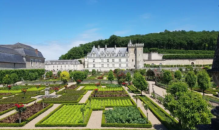 Loire Valley from Amboise : Azay le Rideau, Villandry, 2 Wineries