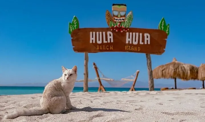 Hula Hula Island Snorkeling and Water Sport With Lunch - Hurghada