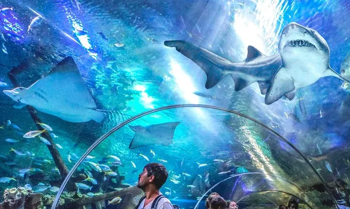 Malaysia: Aquaria KLCC Admission E-Ticket