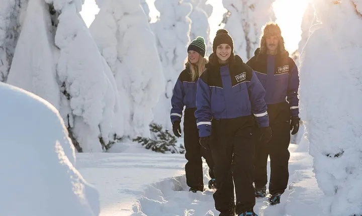 Snowshoeing in the Arctic Circle Wilderness
