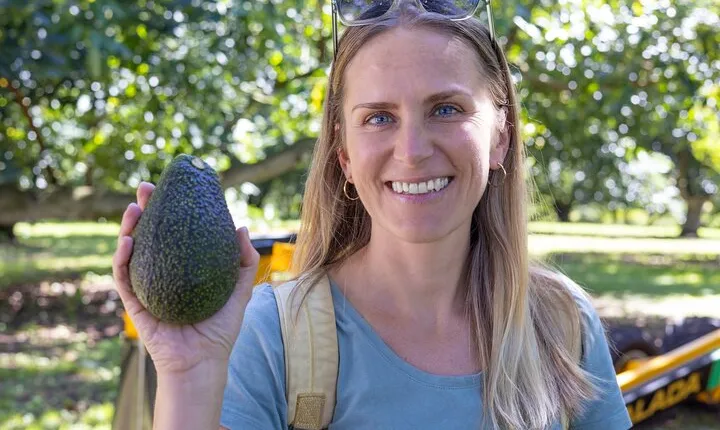 Katikati Gourmet Avocado Tasting