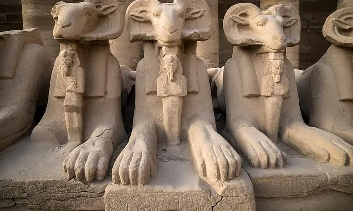 Overday Luxor 