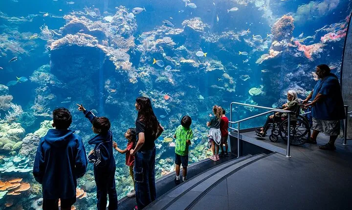 California Academy of Sciences General Admission Ticket