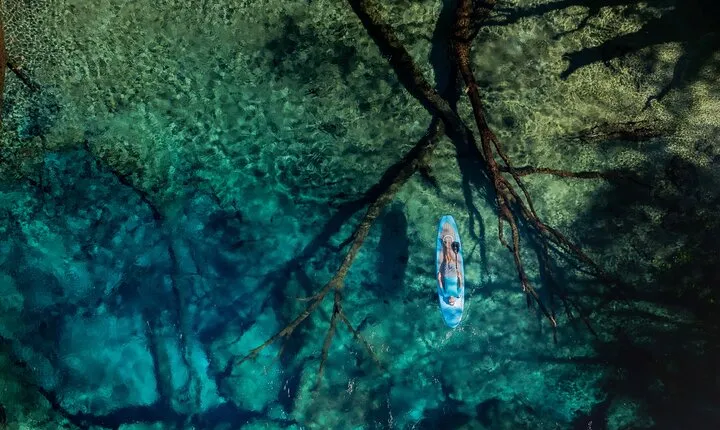 Cypress Springs Eco Adventure