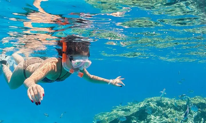 Coral Garden full day Snorkeling & diving Sea Trip from Marsa