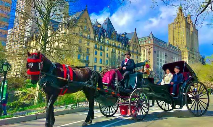 VIP Central Park Experience Tour with photos 50min~Skip the line