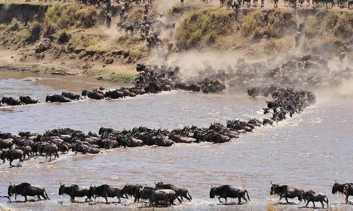 Private 14-Day Tanzania Wildebeest Migration Tour in Serengeti