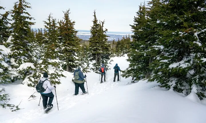 Advanced Snowshoeing Adventure