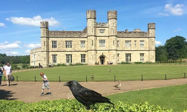Leeds Castle Private Tour From London With Admission Tickets