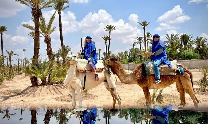 Luxury Day in Marrakech from Casablanca with Camel Ride