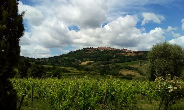 Montepulciano and Pienza Tuscany Wine&Cheese Fullday from Florence