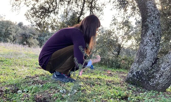 Half Day Gastronomic Wild Walk in Girona
