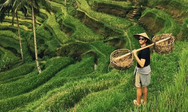 Ubud Jungle Swing - Monkey Forest - Water Temple - Waterfall 