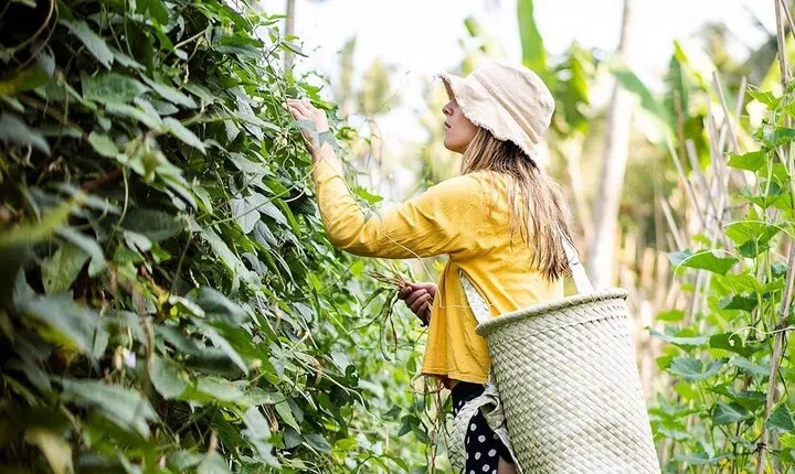 Real Bali Farm Cooking and Traditional Market Adventure in Ubud