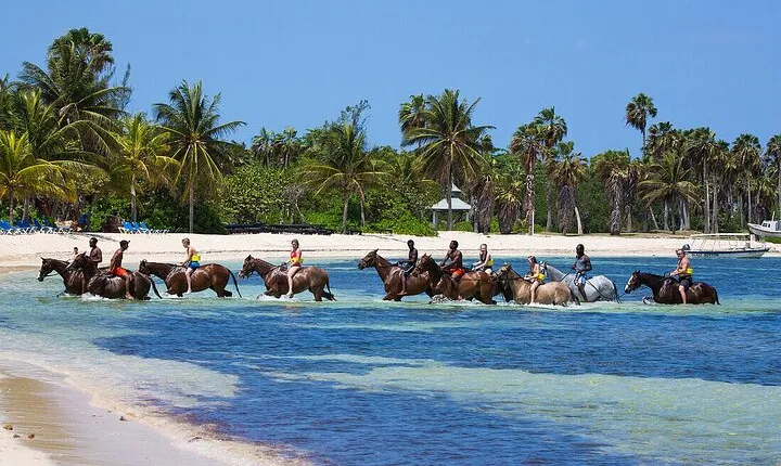 Private Horse Back Riding And Dunns' River Falls From Montego bay