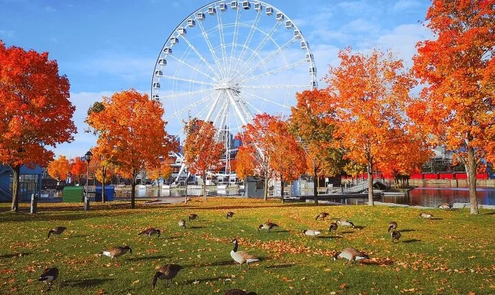 Welcome to Montreal’s Old Town: Private 2-hour Walking Tour