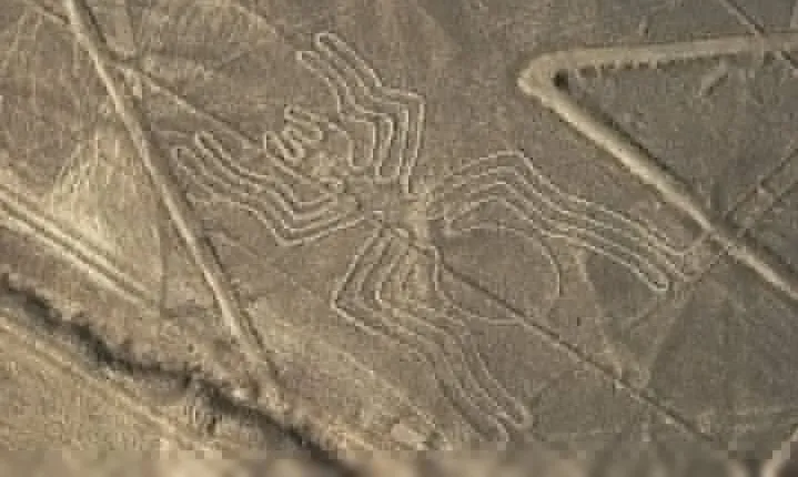 3 Day Tour from Lima: Nazca Lines Flight, Paracas, and Huacachina