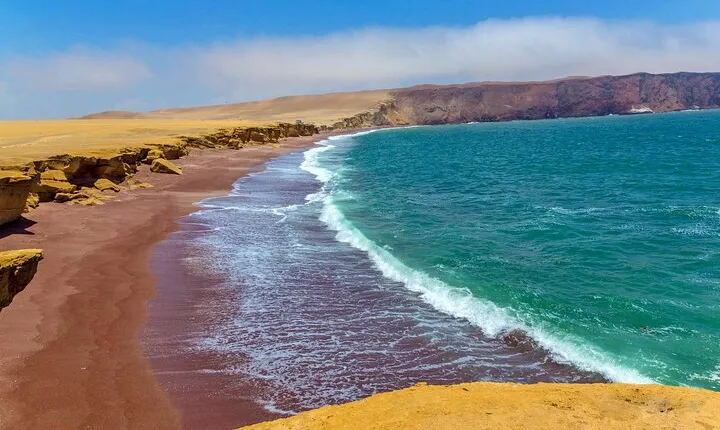 4-Hour Guided Tour Paracas National Reserve
