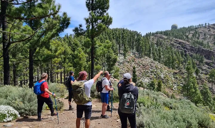 Full day Hiking Gran Canaria Peaks of Gran Canaria