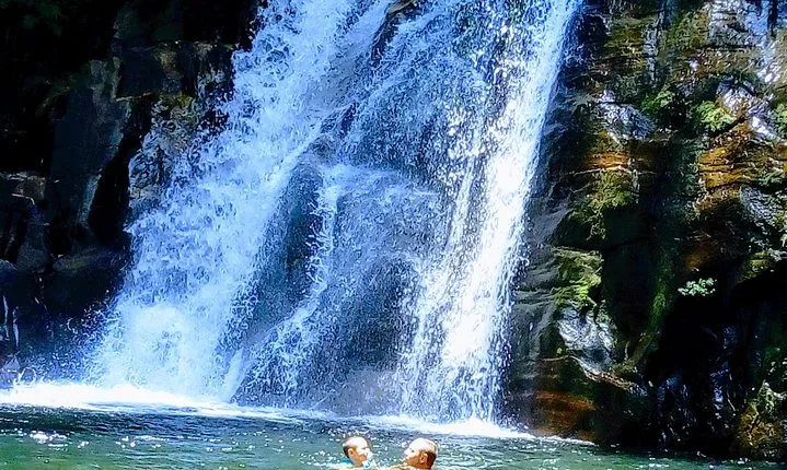 Sinharaja Rainforest Tour