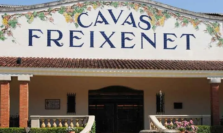 Wine and Cheese Route: Artisan Flavors at Freixenet and Bocanegra