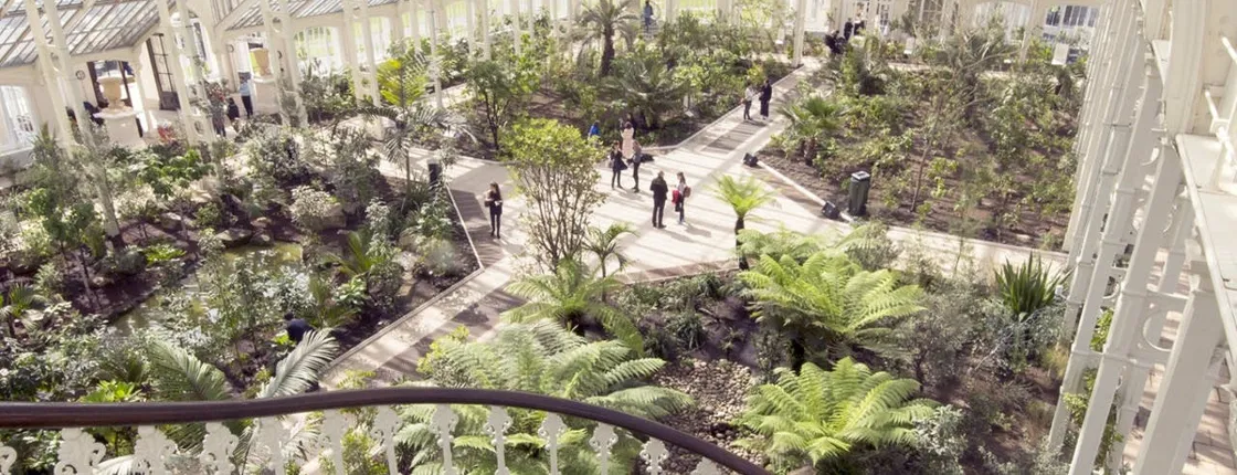 Westminster Walking Tour with Visit to Kew Gardens