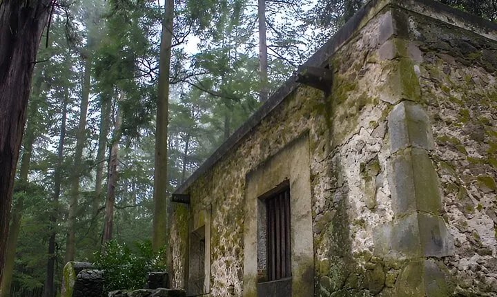 Discover Hiking Trails and a Convent in Desierto de los Leones