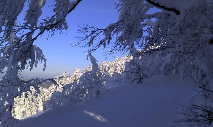 Private 3-Day Slovakia Winter Break from Bratislava