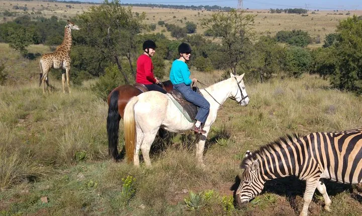 Horseback Safari Adventure