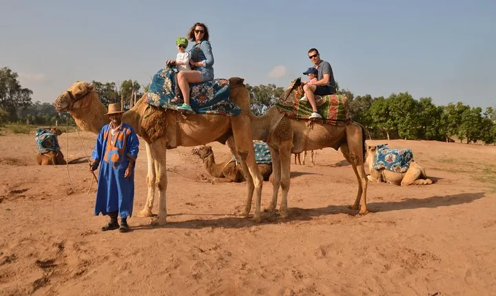 Sunset camel ride in Agadir with transport, tea and cakes.