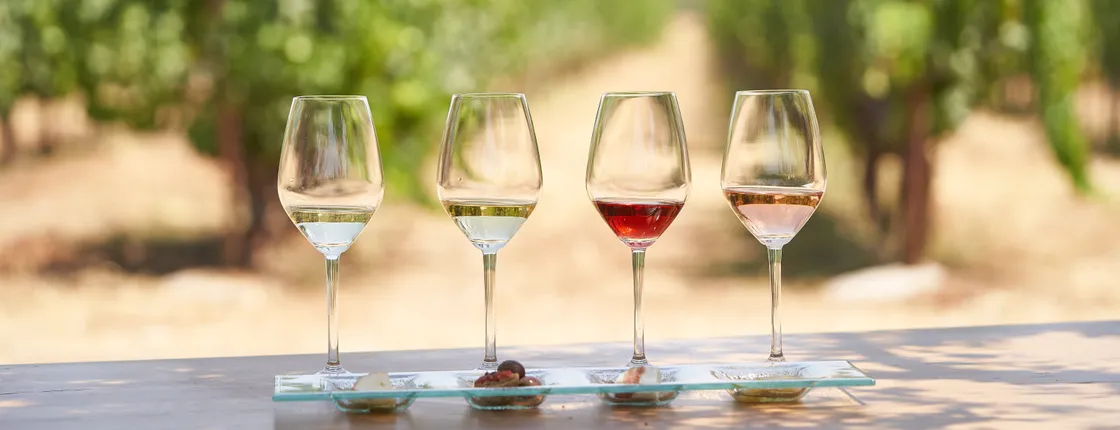 'Enoma wine tasting in Kos