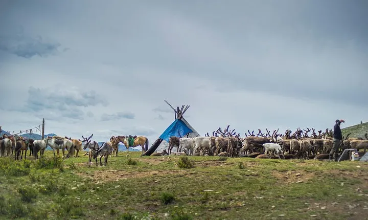 19 Days Horse trekking among the reindeer herders