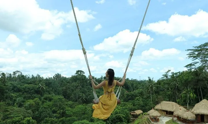 Ubud Tour With Bali Swing All Inclusive 