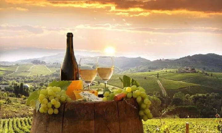 Private tour from Livorno port to Chianti Wine Region