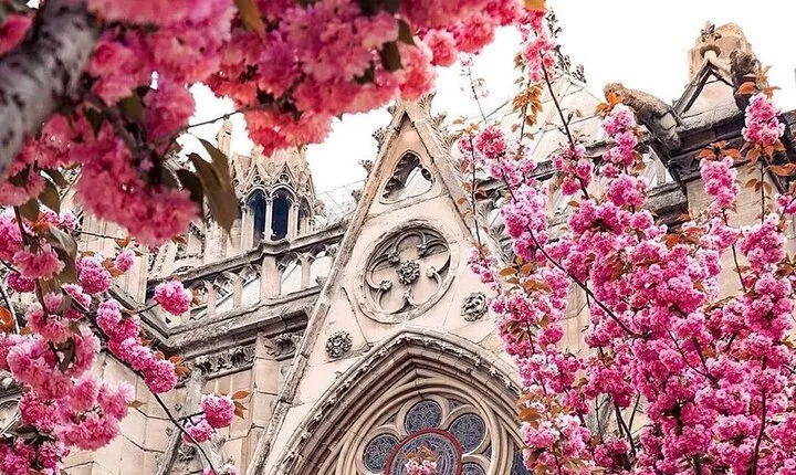 Private Tour of Central Paris: Icons, Secrets & Local Stories