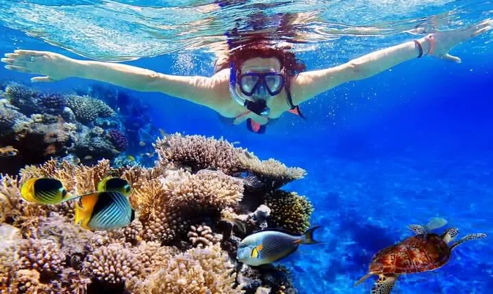 Blue Lagoon & Tanjung Jepun Snorkeling Private Tour