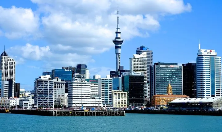 Auckland City & Native Forest Experience - Fully Guided Day Tour