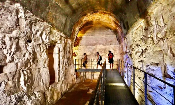 Expert Guided Tour of Colosseum Arena OR Underground, and Forum