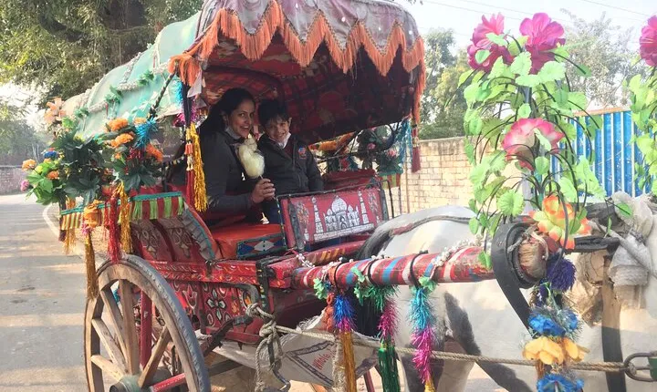 Private Half Day Tour in TajMahal with Chai