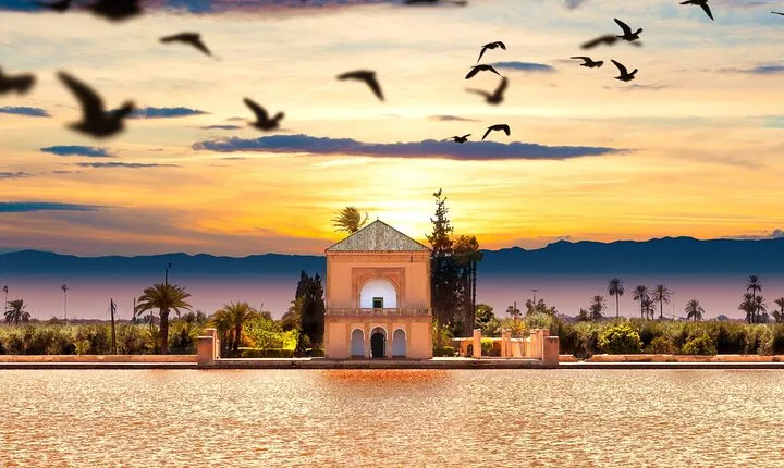 Private Marrakech Excursion from Casablanca with Free Camel Ride