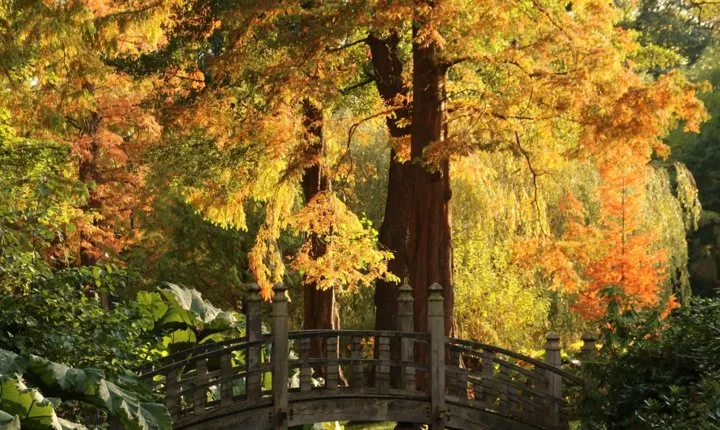 Skip the Line: House and Garden Admission Ticket
