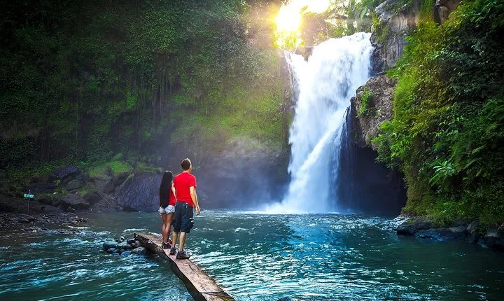 Private Tour: Waterfall, Kintamani Volcano, Ubud Tour with Lunch