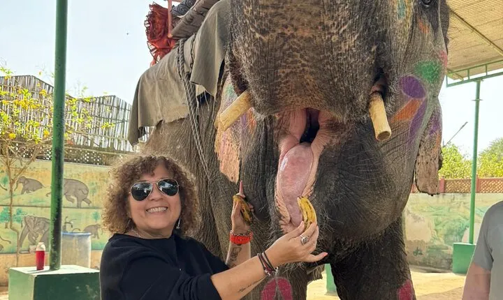 Private 5 Days tour to Delhi Agra Taj Mahal Ranthambore Jaipur