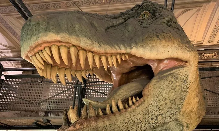 Mamma Mia! Discover the Dinosaurs at London Natural History Museum Tour for Kids