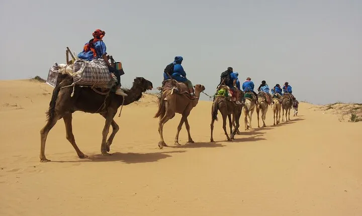 Essaouira: 3-Hour Camel Tour