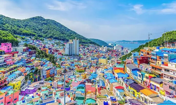 [Busan Private Guide Tour] : Enjoy tours customized only for you!