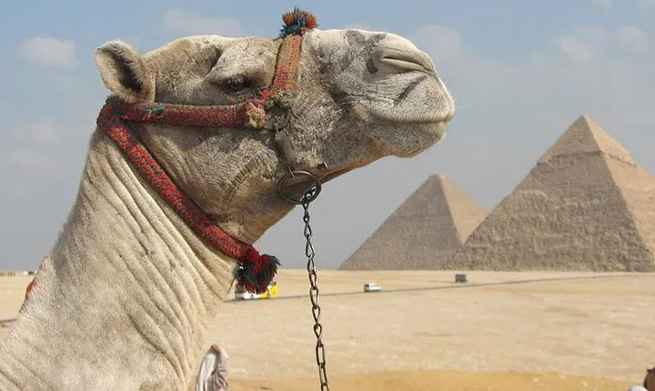 Full-Day Tour to Ancient Egypt